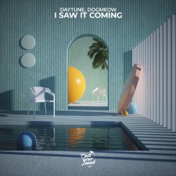 Pochette Daytune & Dogmeow - I Saw It Coming