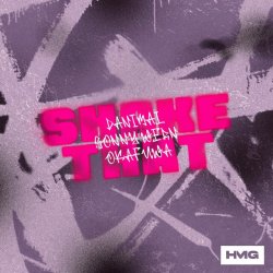 Pochette Danimal & Sonny Wern - Shake That
