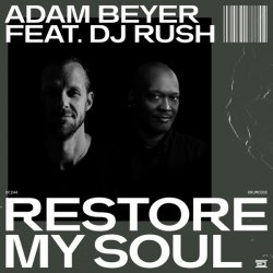 Pochette DJ Rush - Restore My Soul