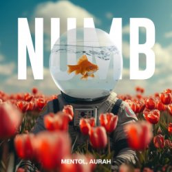 Pochette Linkin Park - Numb (Mentol Remix) Aurah Cover