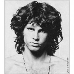 Pochette The Doors - Wild Child