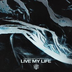 Pochette DubVision & Nicky Romero & Oaks - Live My Life