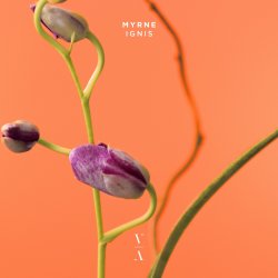 Pochette MYRNE - Time (Something To You)
