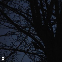 Pochette Pharmacist - Dreamin