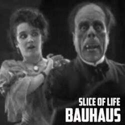 Pochette Bauhaus - Slice of Life