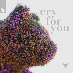 Pochette Cat Dealers & Tineway & Dani Doucette - Cry for You