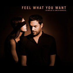 Pochette Phonique & Rebecca - Feel What You Want (Fairplay Remix)