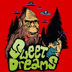 Pochette Dune - Sweat Dreams