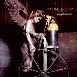 Pochette In Strict Confidence - Engelsstaub (Implant Mix)