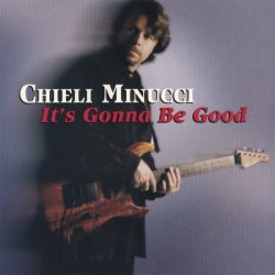 Pochette Chieli Minucci - Endless Summer (Waterfall 2005)
