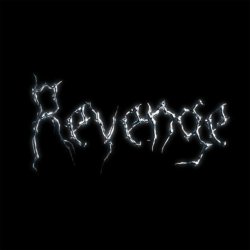 Pochette The Revenge - Every Night