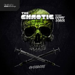 Pochette The Chaotic - Project Ghost