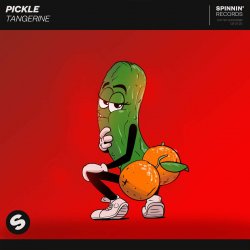 Pochette Pickle - Journey