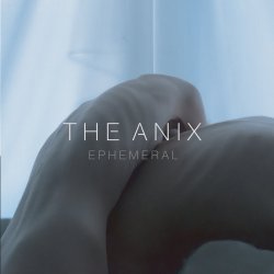 Pochette The Anix - Hollow
