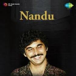 Pochette Nandu - Forever In Our Favor