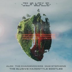 Pochette Alok & The Chainsmokers & Mae Stephens - Jungle (Actraiser Hardstyle Bootleg)