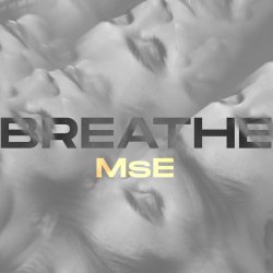 Pochette MsE - Time to Let Go