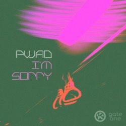 Pochette pwad - I’m Sorry