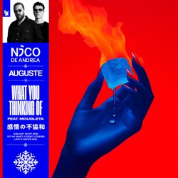 Pochette Nico de Andrea & AUGUSTE & Mougleta - What You Thinking Of