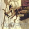 Pochette Bill Laswell - Scratch Code Bill Laswell - Scratch Code
