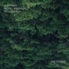 Pochette Bill Laswell - Outer Woo Bill Laswell - Outer Woo