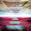Pochette Tangerine Dream - Man Tangerine Dream - Man