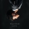Pochette JJ - Wasted Love JJ - Wasted Love