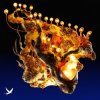 Pochette Korolova & Ross Quinn - Say Korolova & Ross Quinn - Say