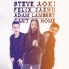 Pochette Steve Aoki & Felix Jaehn feat. Adam Lambert - Can't Go Home (Radio Edit) Steve Aoki & Felix Jaehn feat. Adam Lambert - Can't Go Home (Radio Edit)