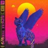 Pochette Wiwek - Rush Wiwek - Rush