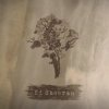 Pochette Ed Sheeran - Bloodstream Ed Sheeran - Bloodstream