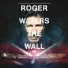 Pochette Roger Waters - Comfortably Numb Roger Waters - Comfortably Numb