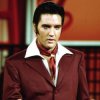 Pochette Elvis Presley - Can't Help Falling in Love Elvis Presley - Can't Help Falling in Love