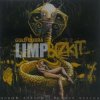 Pochette Limp Bizkit - Introbra Limp Bizkit - Introbra