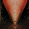 Pochette Venetian Snares - Duffy Venetian Snares - Duffy