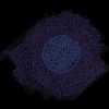 Pochette Floating Points - Danger Floating Points - Danger
