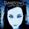 Pochette Evanescence - Tourniquet Evanescence - Tourniquet