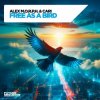 Pochette Alex M.O.R.P.H. & Cari - Free as a Bird Alex M.O.R.P.H. & Cari - Free as a Bird
