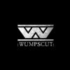 Pochette Wumpscut - Loyal To My Hate Wumpscut - Loyal To My Hate