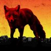Pochette The Prodigy - Get Your Fight On The Prodigy - Get Your Fight On