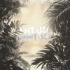 Pochette Repsaj - MONTAGEM CONTIGO (Super Slowed) Repsaj - MONTAGEM CONTIGO (Super Slowed)