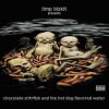 Pochette Limp Bizkit - 11. It'll Be Ok Limp Bizkit - 11. It'll Be Ok