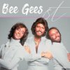 Bee Gees - Wildflower