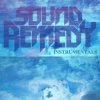 Pochette Sound Remedy - Video Games Sound Remedy - Video Games
