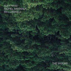 Pochette Bill Laswell - Outer Woo