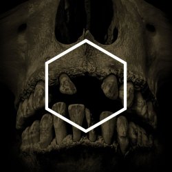 Pochette Lustmord - Insignificance