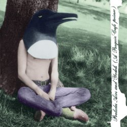 Pochette The Penguin Cafe Orchestra - TBeanfields