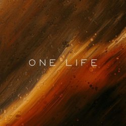 Pochette Vibessmusic - One Life (slowed by kirman)