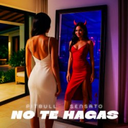 Pochette Pitbull & Sensato - No Te Hagas