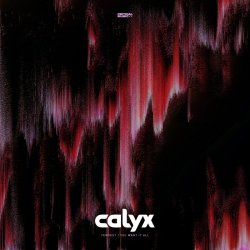 Pochette Calyx - A Day That Never Comes